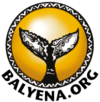 Balyena